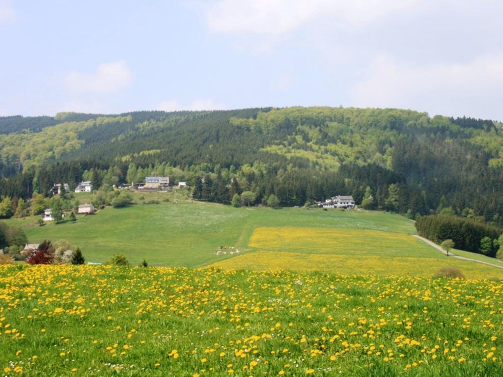 Cosy Apartment In Schwalefeld Near Willingen With Private Terrace Exterior foto